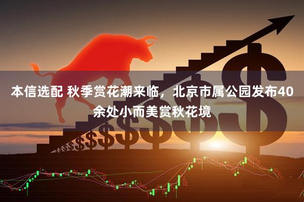 本信选配 秋季赏花潮来临，北京市属公园发布40余处小而美赏秋花境