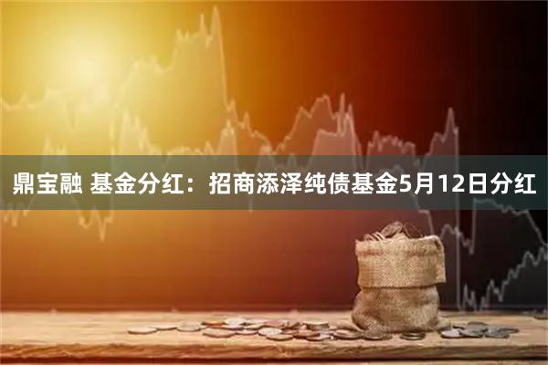 鼎宝融 基金分红：招商添泽纯债基金5月12日分红