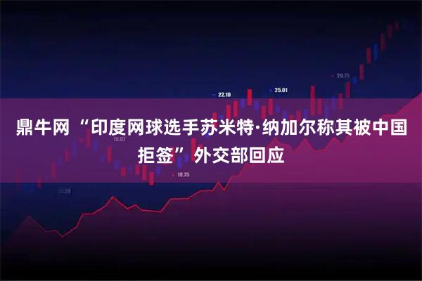 鼎牛网 “印度网球选手苏米特·纳加尔称其被中国拒签” 外交部回应