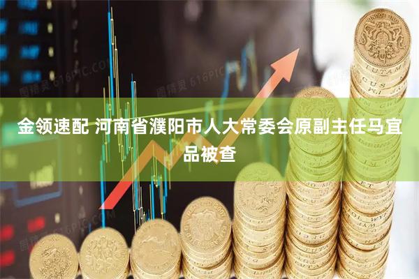 金领速配 河南省濮阳市人大常委会原副主任马宜品被查